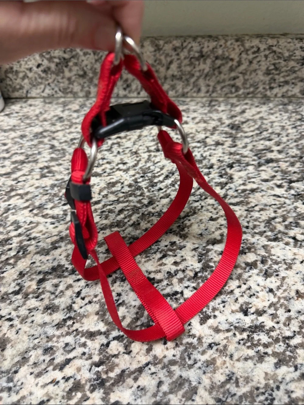Red Dog Harness - Adjustable Nylon No-Brand Pet Harness Small Dogs or Puppies